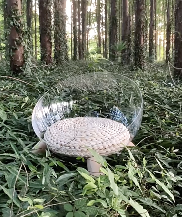 Sheldon Eggshell Cat Bed 3 Sheldon Eggshell Cat Bed